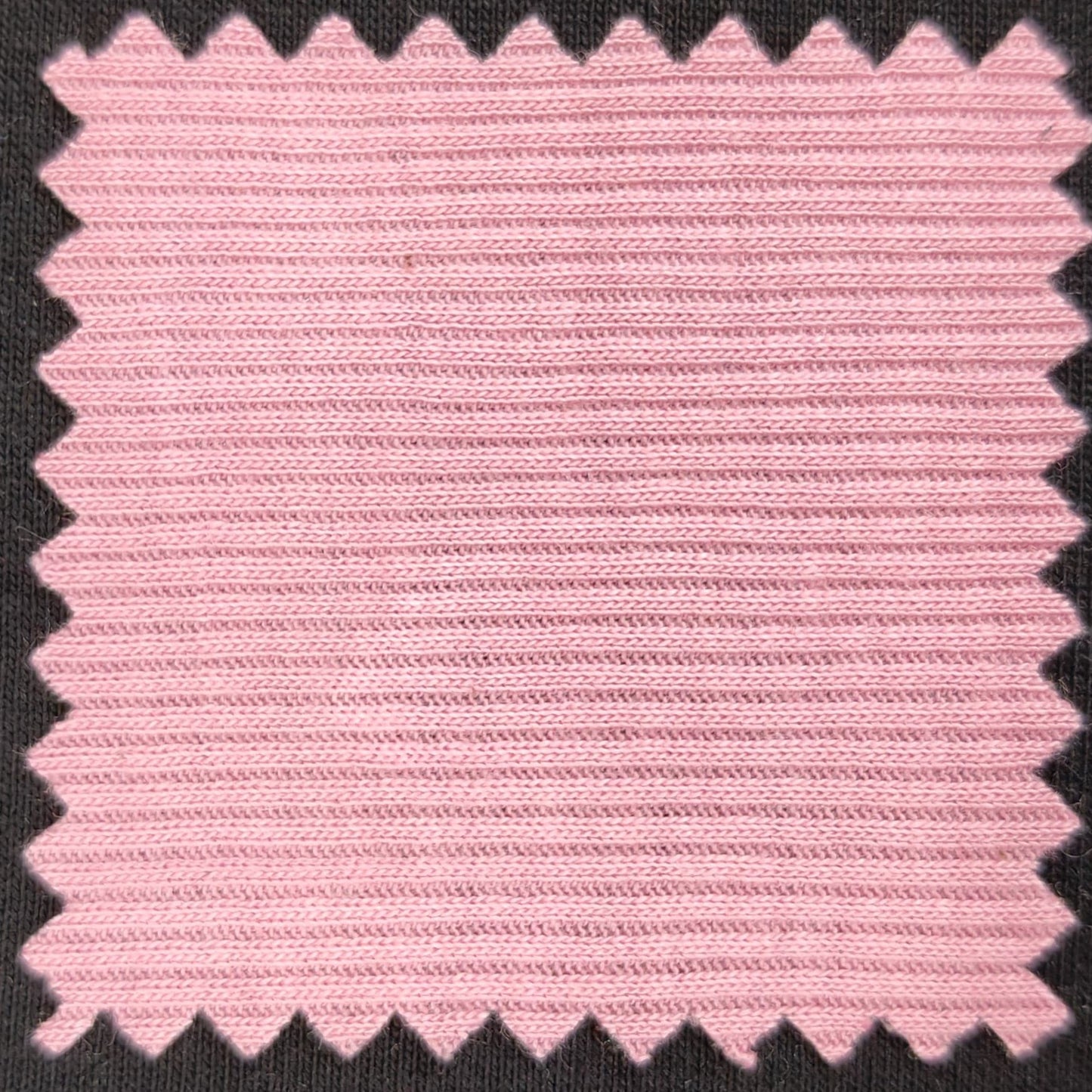 Cotton Lyocell Durby Rib Fabric - 180 GSM